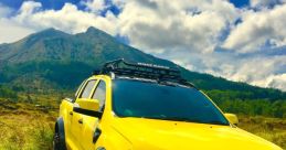 Wildtrack