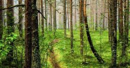 Path