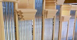Orgel