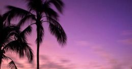 Serene
