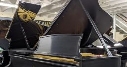 Steinway The soft, slow notes of Piano Improv Romantic02 float through the air, filling the room with a sense of romance and