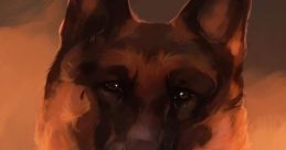 Woof