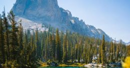 Sawtooth