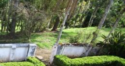 Parque