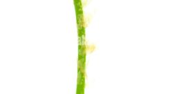 Unfolding