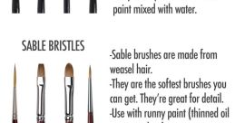 Bristles