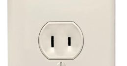 Plug