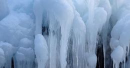 Nieve