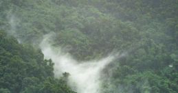 Jungle