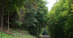 Rail-Way