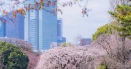Shinjuku