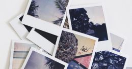 Polaroid