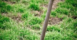 Shovel