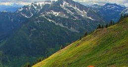 Meadow