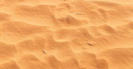 Sand You can hear the gentle crunch of footsteps in the sand as someone takes a leisurely walk along the shore. The of