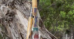 Digeridoo
