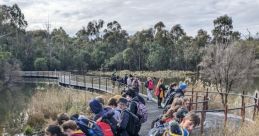 Wetlands