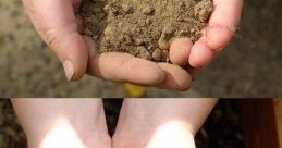 Dirt