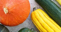 Squash