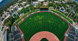 Ballpark The of a baseball hitting a glove echoes throughout the ballpark, signaling the start of a new inning. The crisp