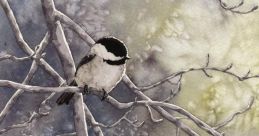 Chickadee