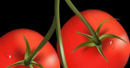 Tomato