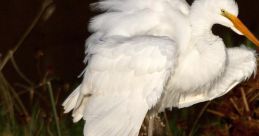 Fluffing