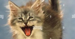 Hissing