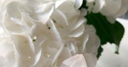 Cristal