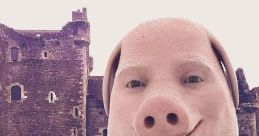Pork