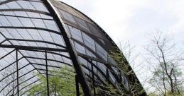 Aviary