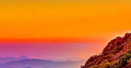 Nature-