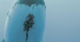 Whale