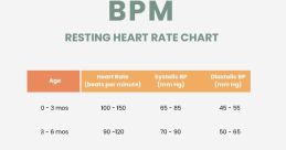 96Bpm
