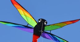 Kite