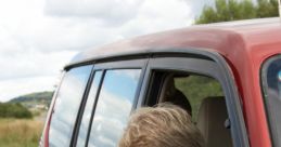 Reversing