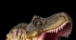 Rex