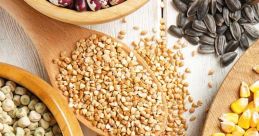 Grains