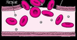 Clot