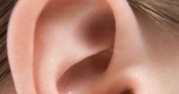 Ear