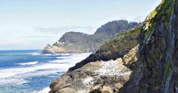 Coastal