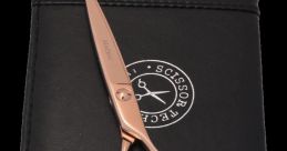 Scissor