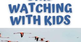 Bird-Watching