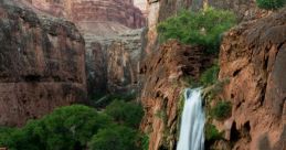 Arizona