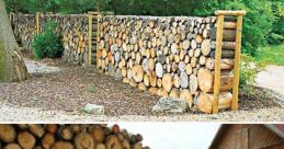 Log