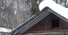 Shack