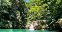 Lagoa
