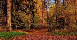 Leaves-Rustling