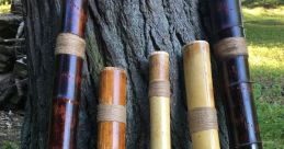 Rainstick