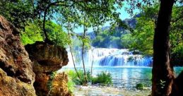 Naturaleza